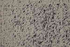 Ковровая плитка TECSOM FUSION 302 p 1 фото  | FLOORDEALER